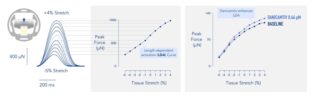 02_LDA_explanation-2